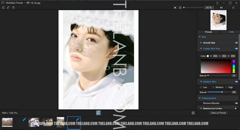 WidsMob Portrait 2.2.0.210 Download